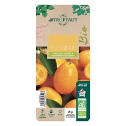 Kumquat : Ctr 3 Litres, Agriculture Biologique