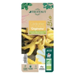 Atmospheraes Store -Atmospheraes Store 493536 006 1