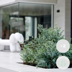 Atmospheraes Store -Atmospheraes Store 63f3b93fa701f4.98565391