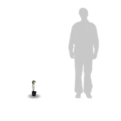 Atmospheraes Store -Atmospheraes Store 63f60761124cc6.77625798