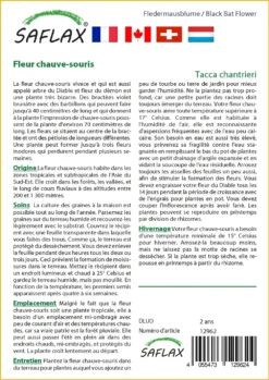 Kit De Culture - Fleur Chauve-souris - 10 Graines - Tacca Chantrieri -Atmospheraes Store 64063aa2e09686.92559263