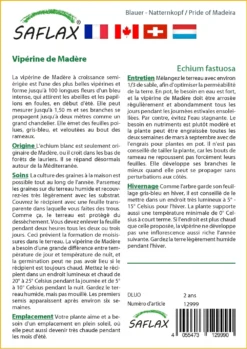Kit De Culture - Vipérine De Madère - 100 Graines - Echium Fastuosa -Atmospheraes Store 6406412299e721.92441233