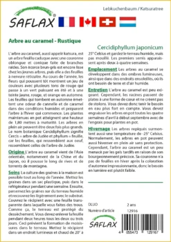 Kit De Culture - Arbre Au Caramel - 200 Graines - Cercidiphyllum Japonicum -Atmospheraes Store 64064132c9d4c4.04855019