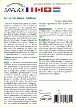 Kit De Culture - Cerisier Du Japon - 30 Graines - Prunus Serrulata -Atmospheraes Store 64064157603ec8.18852446