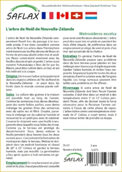 Kit De Culture - L'arbre De Noël De Nouvelle-zélande - 300 Graines - Metrosideros Excelsa -Atmospheraes Store 6406415d43fb13.76934822