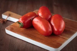 Kit De Culture - Bio - Tomate - San Marzano - 15 Graines - Solanum Lycopersicum -Atmospheraes Store 6406416b4f7255.16851216