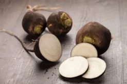 Kit De Culture - Bio - Radis - Noir - 100 Graines - Raphanus Sativus -Atmospheraes Store 64064173d81689.02005216