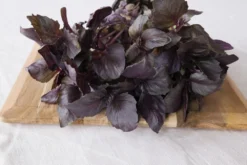 Kit De Culture - Bio - Basilic - Pourpre - 400 Graines - Ocimum Basilicum -Atmospheraes Store 6406417786e992.51293442