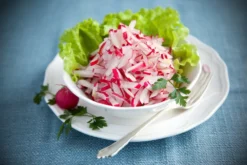 Kit De Culture - Bio - Radis - Cherry Bell - 100 Graines - Raphanus Sativus -Atmospheraes Store 640641a656fec4.35520788