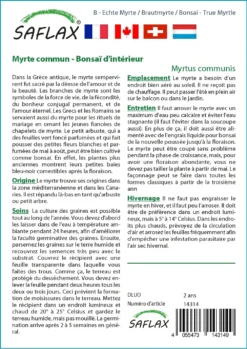 Kit De Culture - Myrte Commun - 30 Graines - Myrtus Communis -Atmospheraes Store 640641b38ab843.99066445