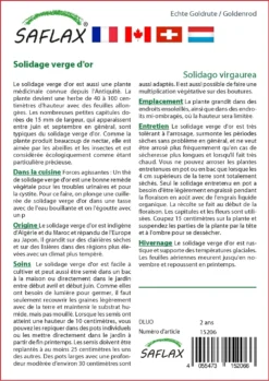 Kit De Culture - Solidage Verge D'or - 100 Graines - Solidago Virgaurea -Atmospheraes Store 640641b4d55022.73382482
