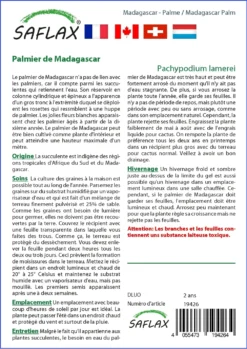 Kit De Culture - Palmier De Madagascar - 10 Graines - Pachypodium Lamerei -Atmospheraes Store 640641c714a995.97409461