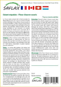 Kit De Culture - Géant Népalais - Fleur Chauve-souris - 10 Graines - Tacca Nevia White -Atmospheraes Store 640641cb3c2931.45314096