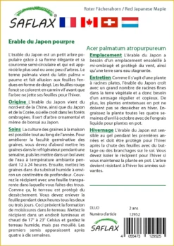 Kit De Culture - Erable Du Japon Pourpre - 20 Graines - Acer Palmatum Atropurpureum -Atmospheraes Store 640641d837b750.91534800