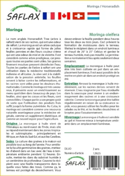 Kit De Culture - Moringa - 10 Graines - Moringa Oleifera 9 Kit De Culture - Moringa - 10 Graines - Moringa Oleifera -Atmospheraes Store 640641f44f9d99.64332581