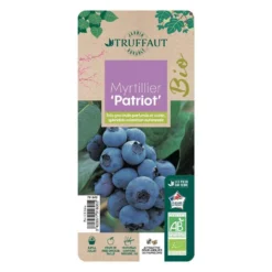 Myrtillier 'Patriot' Bio : Pot De 1,5 Litres -Atmospheraes Store 791605 005
