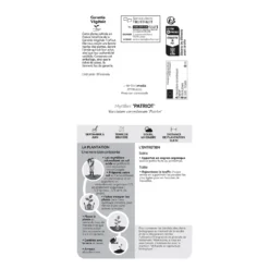 Myrtillier 'Patriot' Bio : Pot De 1,5 Litres -Atmospheraes Store 791605 1765768