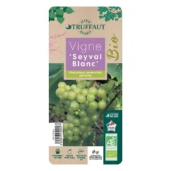 Vigne 'Seyval Blanc' AB - Pot 1,5 L -Atmospheraes Store 827056 002