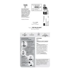 Vigne 'Seyval Blanc' AB - Pot 1,5 L -Atmospheraes Store 827056 1767094