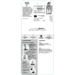 Framboisier Groovy®'Jdeboer005':pot 5L -Atmospheraes Store 831270 1432924