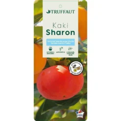 Kaki "Sharon" 1/2T Pot 15L 6 Kaki "Sharon" 1/2T Pot 15L -Atmospheraes Store 952753 003