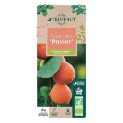 Atmospheraes Store -Atmospheraes Store 952761 006