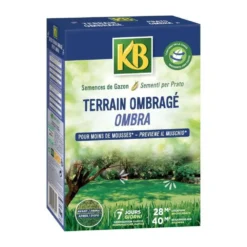 - Semences Gazon - Terrain Ombragé 28m²